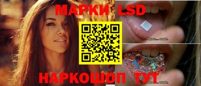 гашик Камышлов