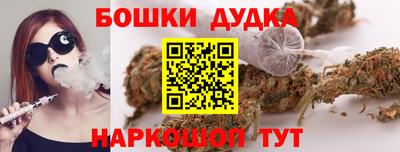 гашик Камышлов