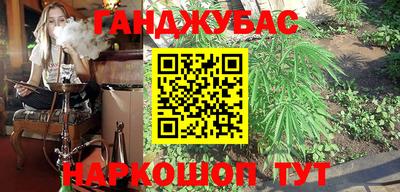 гашик Камышлов