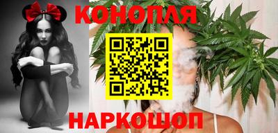 гашик Камышлов
